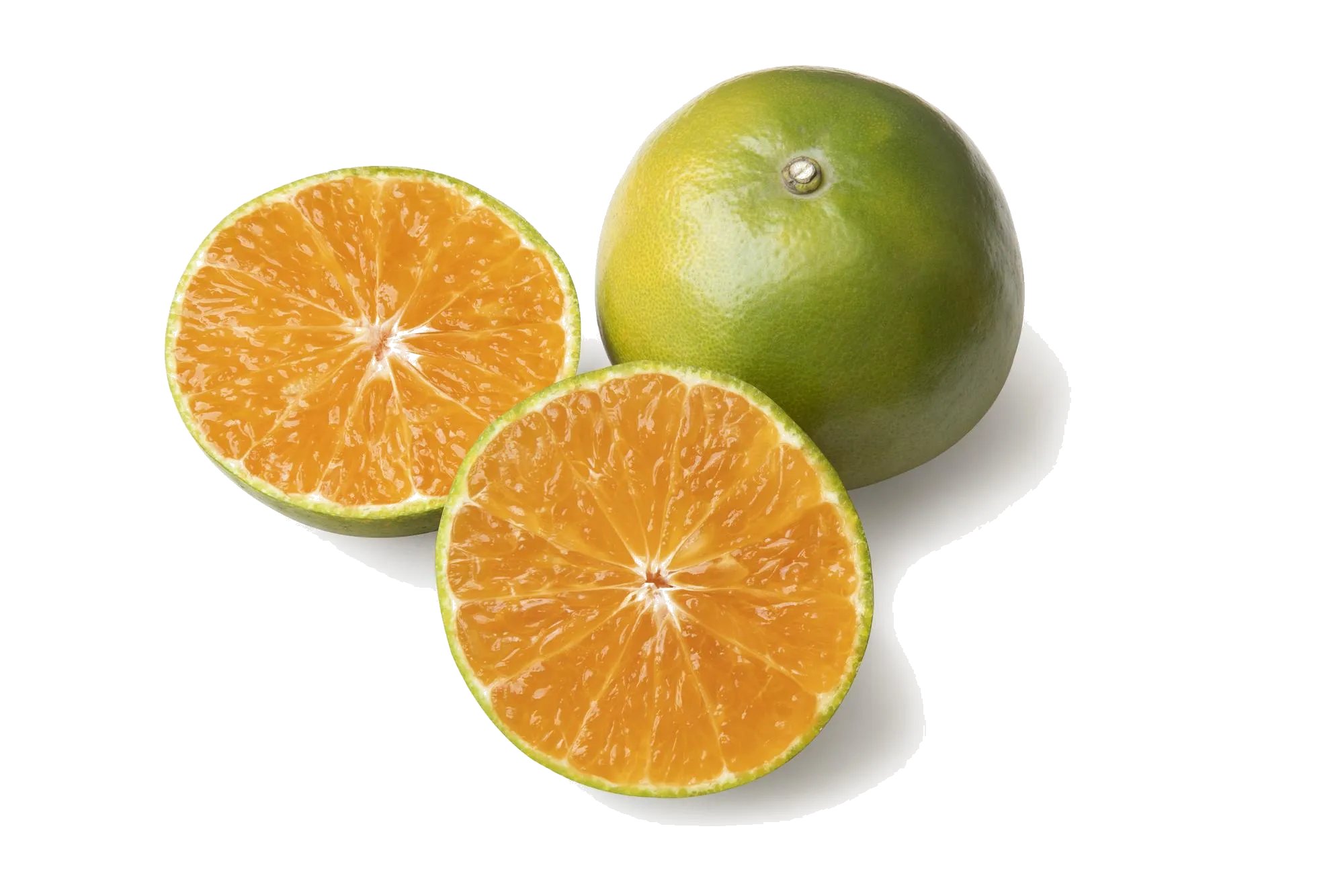 Citrus
